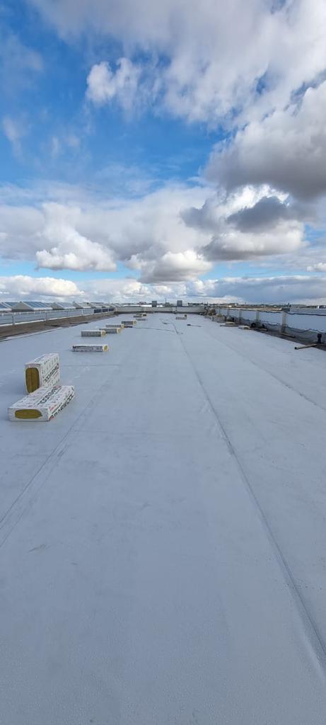 Монтаж ПВХ-мембраны Электровозосборочный завод